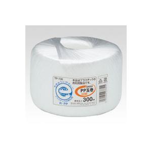 MYGGP53P938