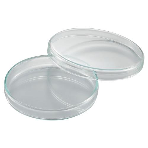 スタンダードペトリ皿 シャーレ４０ １２ 返品 交換 キャンセル不可 イージャパンモール Eジャパン 通販 Yahoo ショッピング