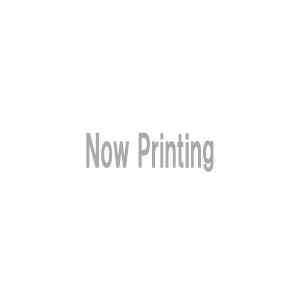 ラベルシール[インクジェット] 水に強いタイプ 光沢フィルム・ホワイト A4 ノーカット 1冊(30シート)｜ejapan｜02