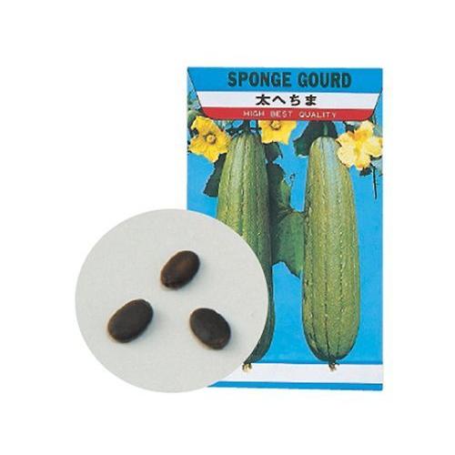 2736 野菜の種ヘチマ : eジャパン - 通販 - Yahoo!ショッピング