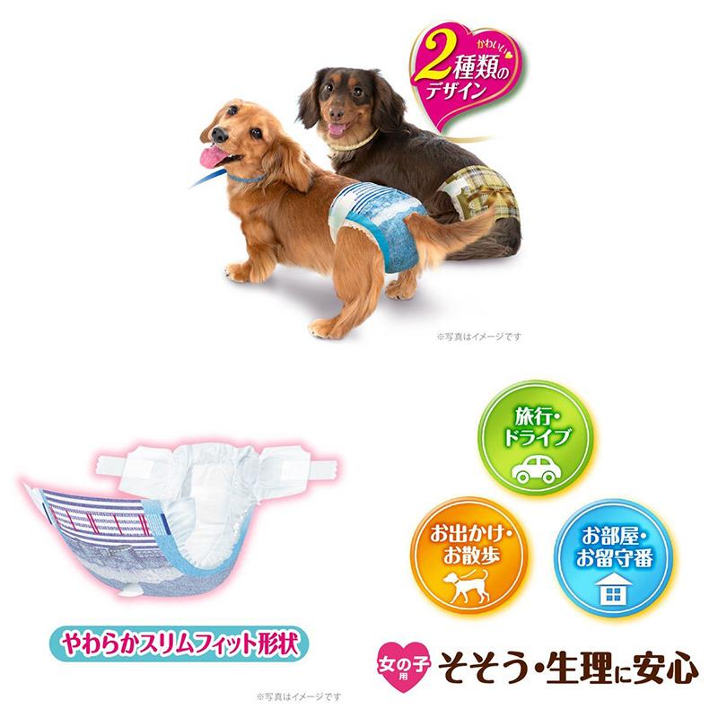 ユニ・チャーム マナーウェア 女の子用 Sサイズ チェック・デニム 36枚 4520699673867|ejoy|02