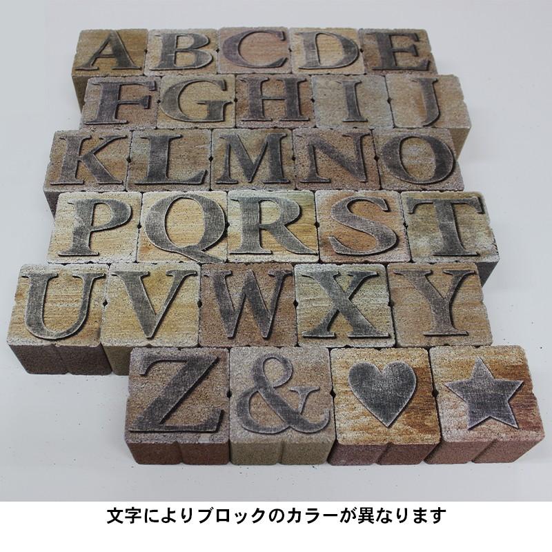 A∮ プロフ必読ページ　アルファベットブロック&プレート アルファベットブロック Y 幅75mm×奥行60mm×高さ75mm アルファベット