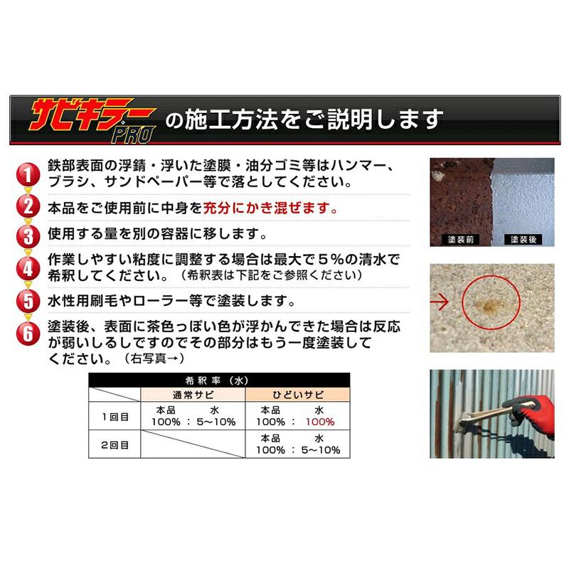 BAN-ZI バンジ 水性錆転換塗料 サビキラープロ ガンブラック 50g