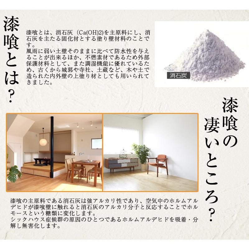 日本プラスター うま〜くヌレール 仕上げ用 さくら色 5kg 2個セット 