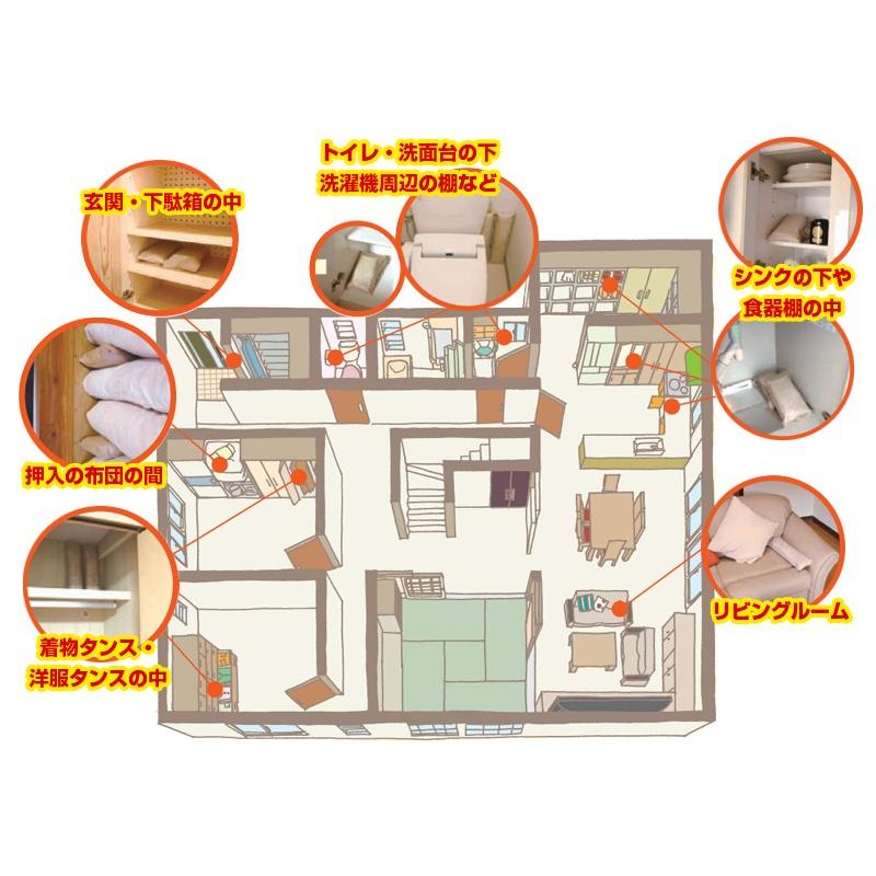 炭八 除湿用炭 タンス用100ｇ 出雲カーボン｜ejoy｜02