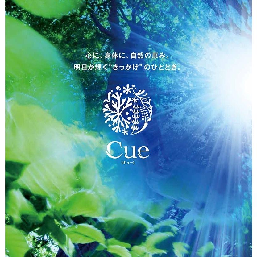 Kao（花王） Cue(キュー) ボディウォッシュ 10L バッグインボックス