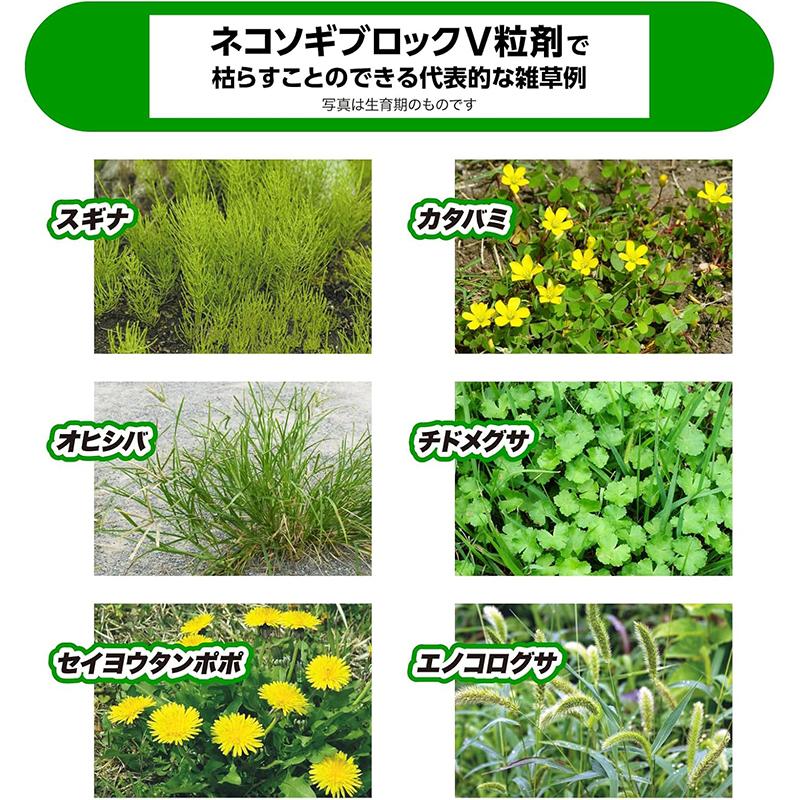 レインボー薬品 【4個セット】 ネコソギブロックV 粒剤 5kg 袋 約6ヵ月