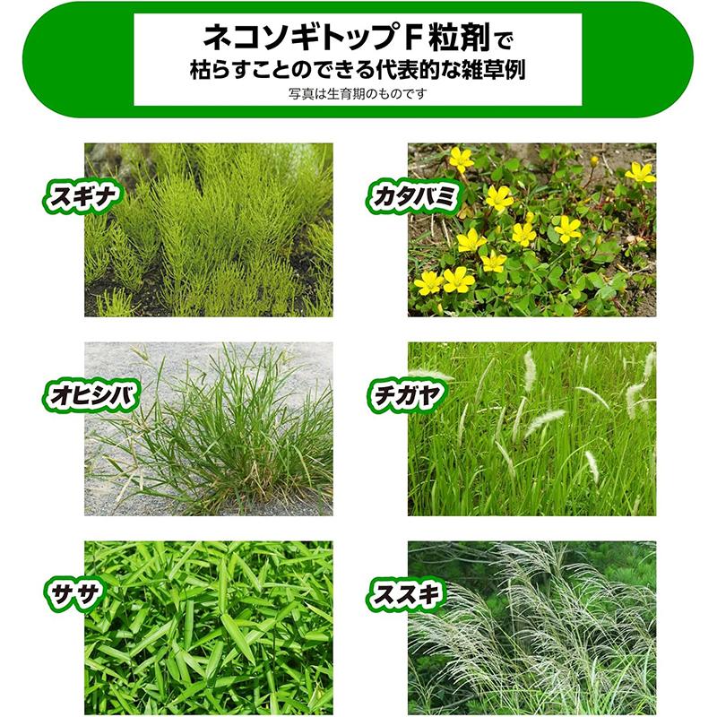レインボー薬品 【2個セット】 ネコソギトップF 粒剤 10kg 大容量 袋