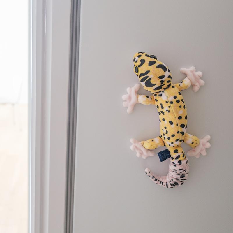 貝沼産業 レプマニア M/G マグネットタイプ ヒョウモントカゲモドキM/G