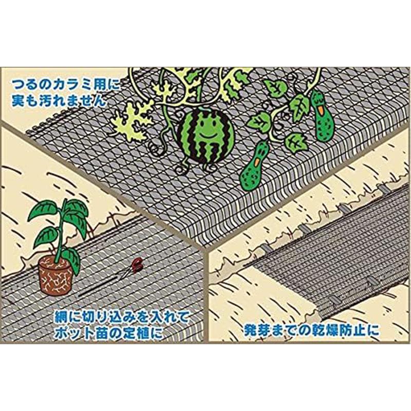 ダイオ化成 わらイラズ 1m×20m 菜園用シート 4960256250672 : ejoy 