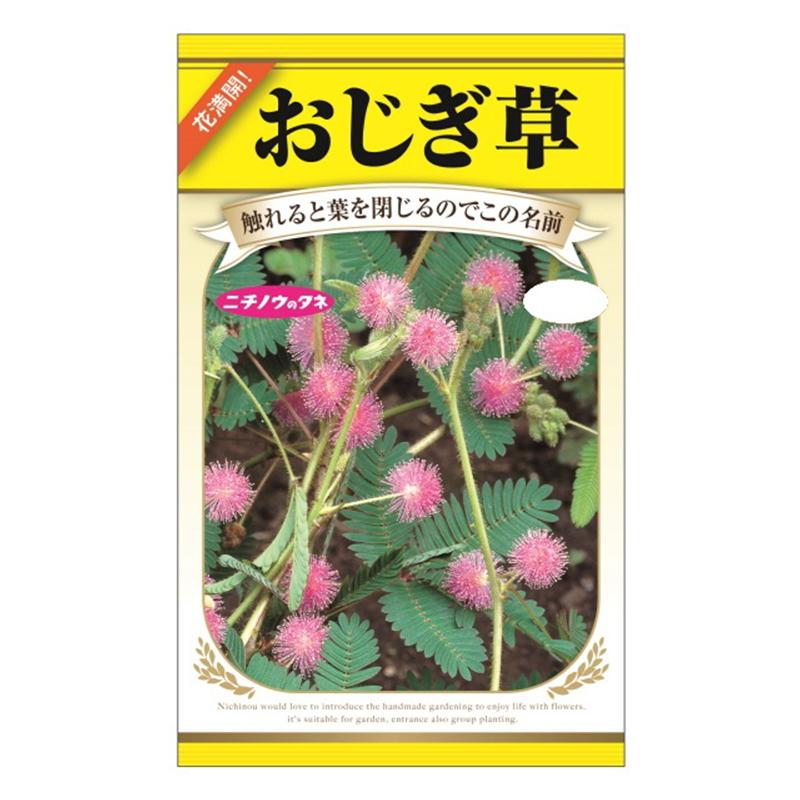 おじぎ草の商品一覧 通販 Yahoo ショッピング
