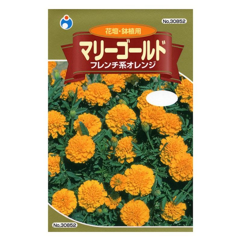 ウタネ マリーゴールド フレンチ系オレンジ メール便対応 10個まで