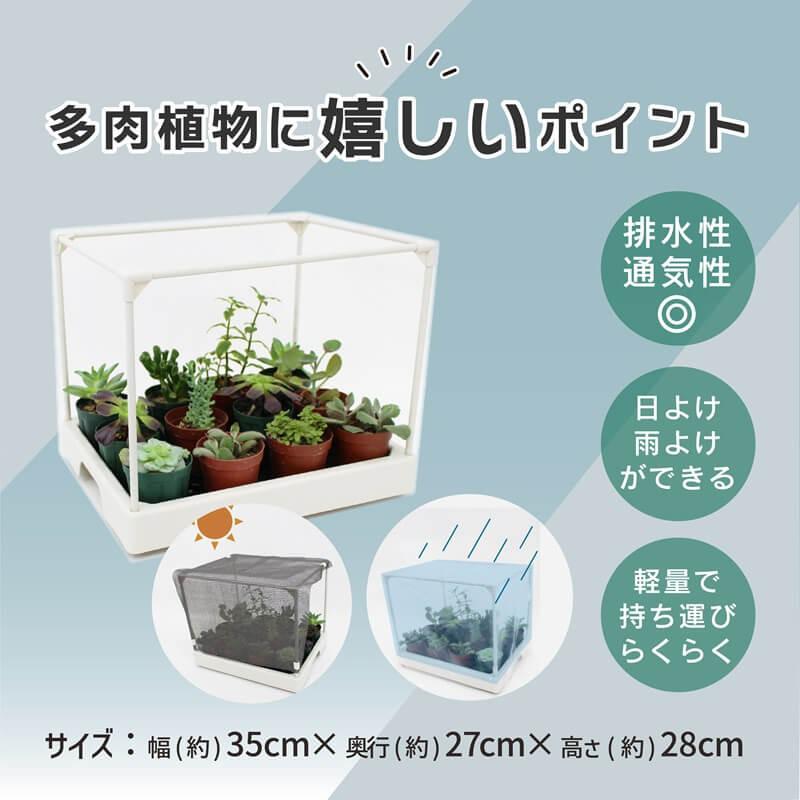 DAIM ダイム カーメン君コラボ多肉マンション 多肉植物 温室 温室