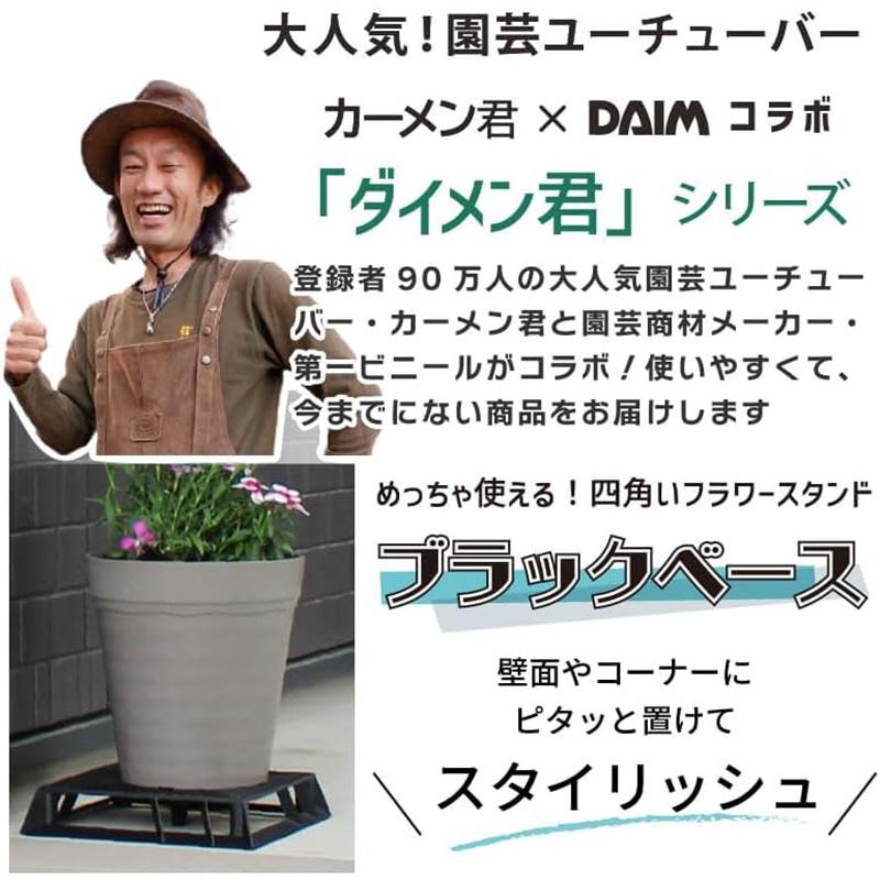 DAIM ブラックベース 20cm 1個 カーメン君コラボ フラワースタンド