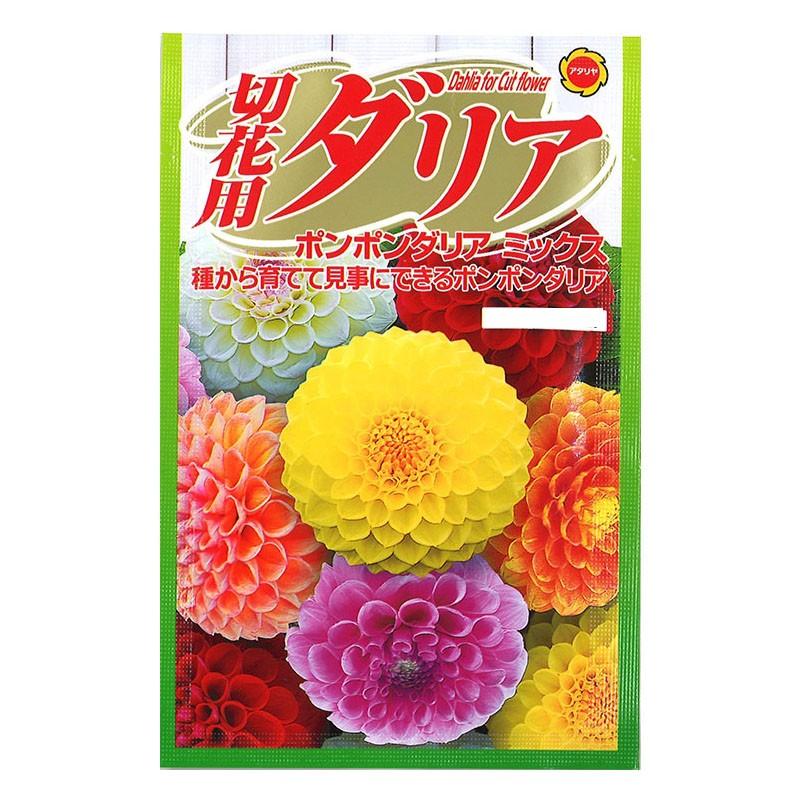 アタリヤ 切花用 ダリア ポンポンミックス メール便対応 個まで Ejoy Paypayモール店 通販 Paypayモール