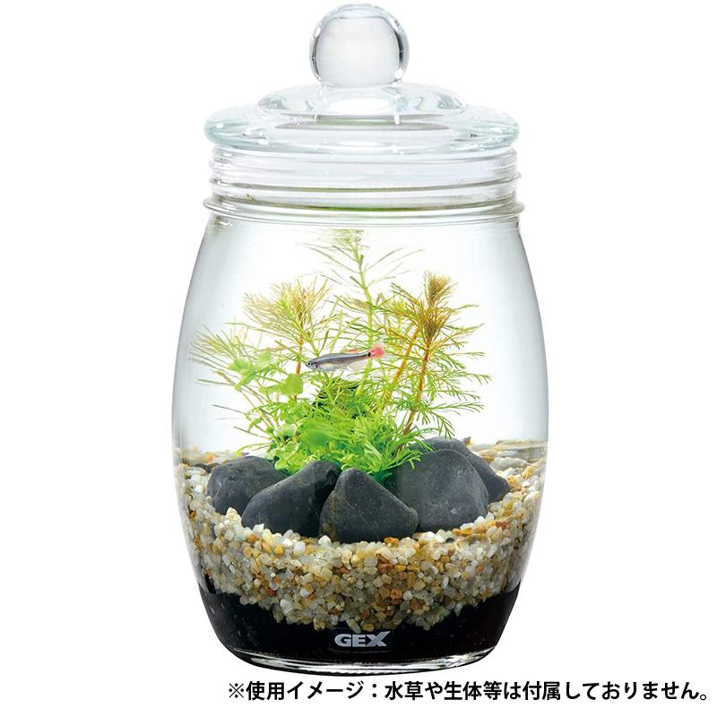 Gex ボトリウム 観賞魚用水槽セット ネイチャー ブラウン Ejoy Paypayモール店 通販 Paypayモール