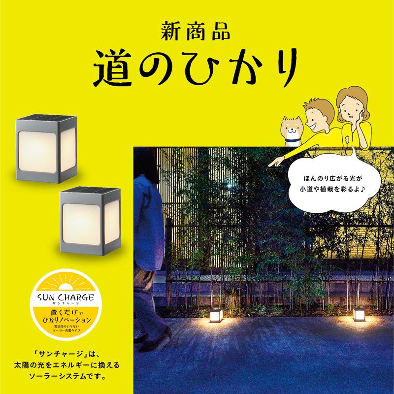 タカショー ひかりノベーション SUNCHARGE 道のひかり 2個入り タカショー ひかりノベーション SUNCHARGE 道のひかり 2個入り
