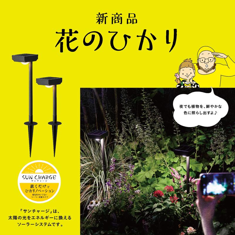 タカショー ひかりノベーション SUNCHARGE 花のひかり 2個入り タカショー ひかりノベーション SUNCHARGE 花のひかり 2個入り