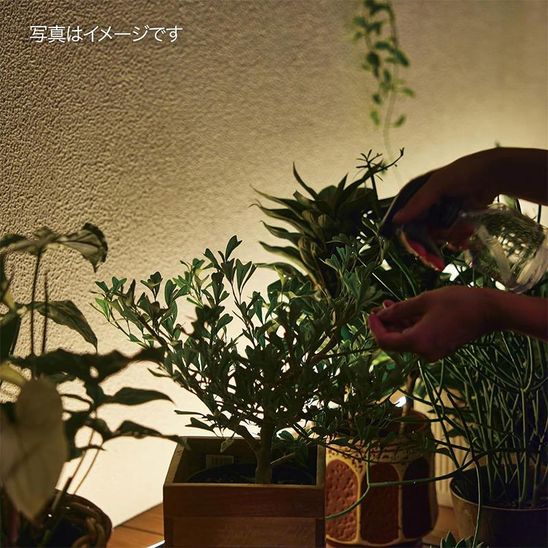 タカショー ひかりノベーション 憩いのひかり 基本セット ガーデン