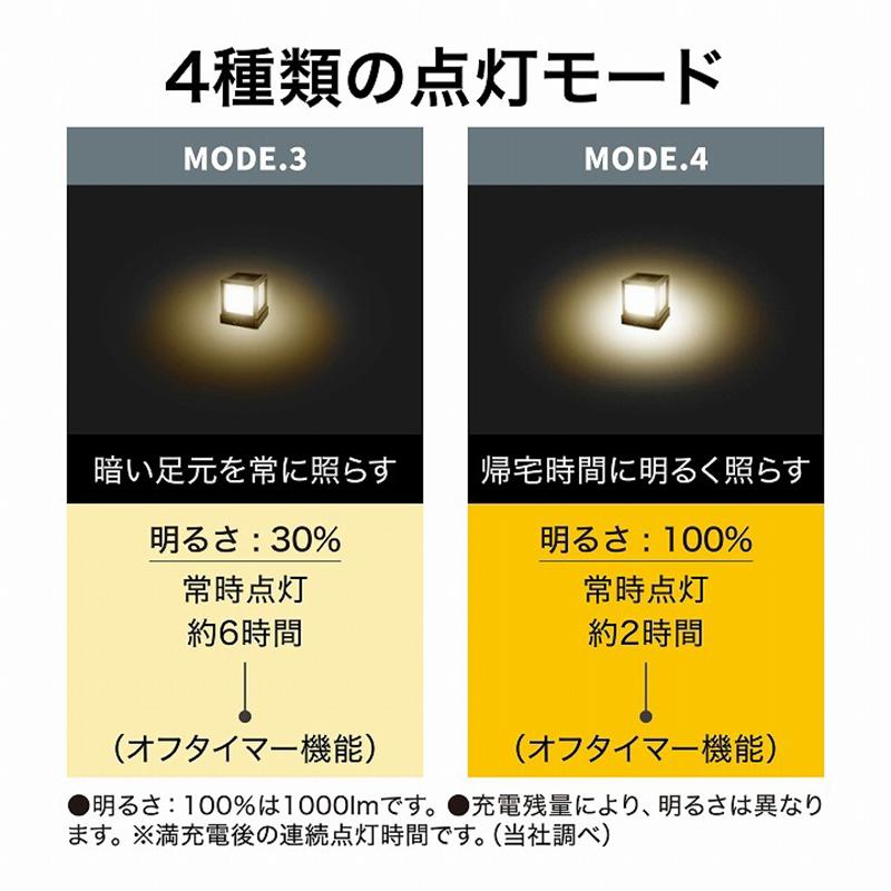 タカショー ExLights ソーラー マルチプレイライト VESTA /A 人