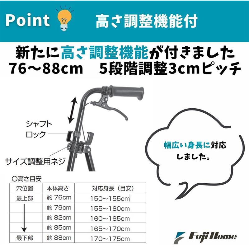 フジホーム ハンドレールステッキII ブラック WB5135 4977626736872