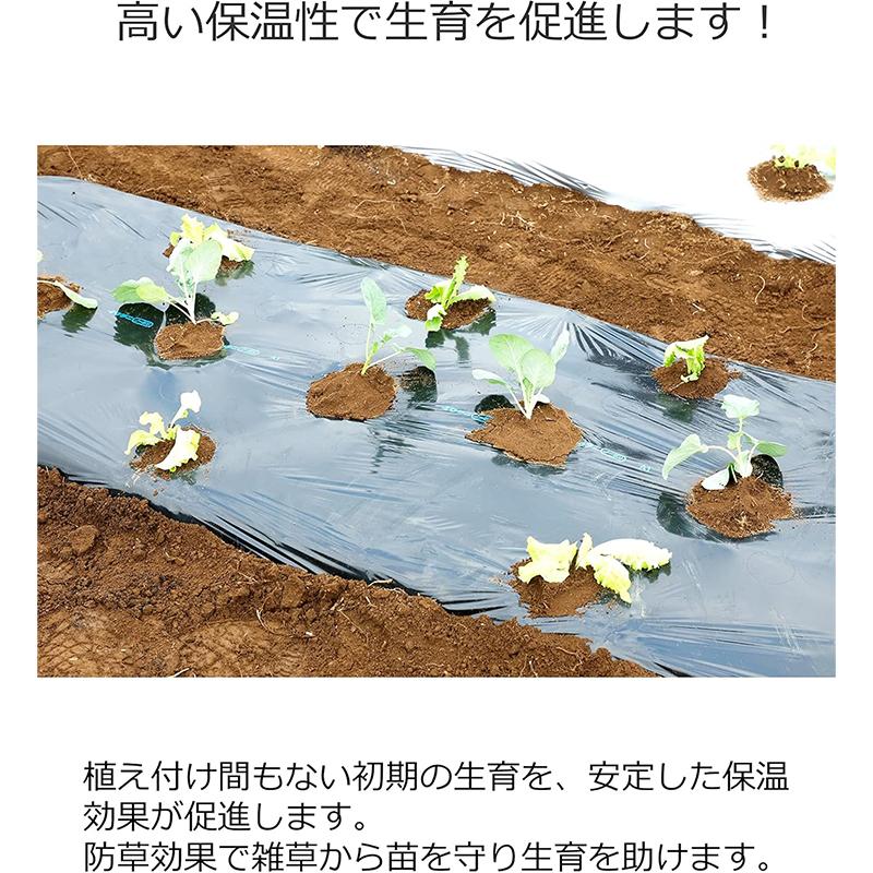 岩谷マテリアル 菜園用 耐熱 黒マルチ 穴なし 0.02mm厚 95cm×50m
