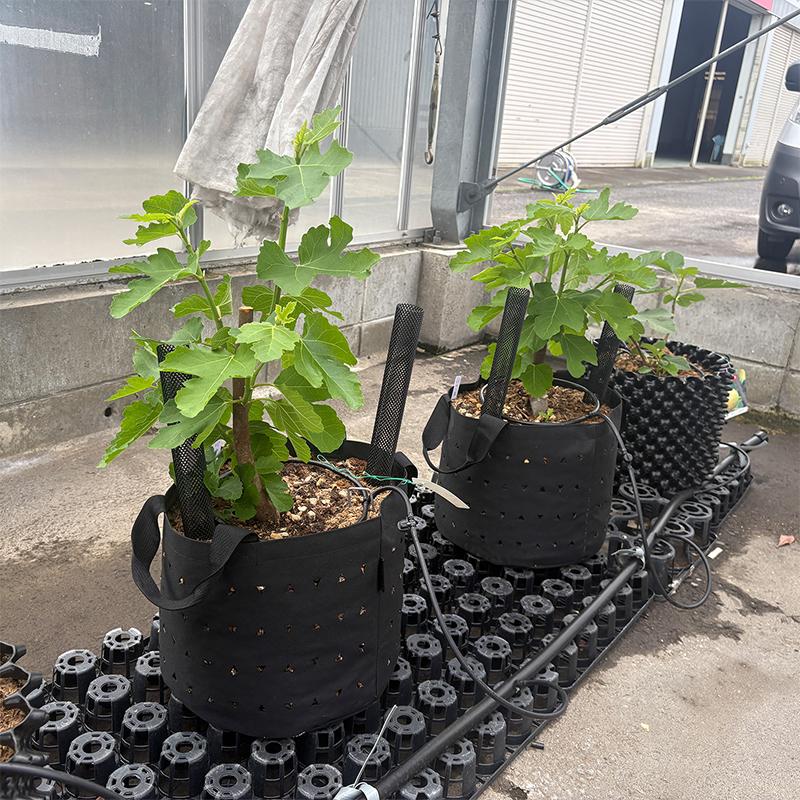 南榮工業（NAN-A） ミライポット ブラック 6号 3.6L MIRAI POT 植木鉢