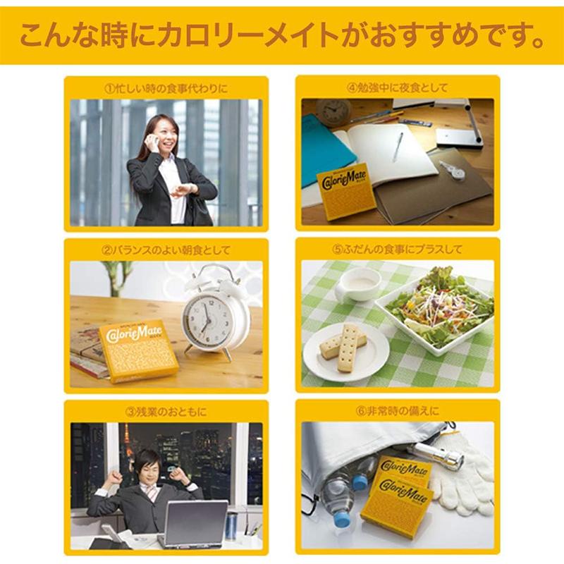 カロリーメイト 【3個セット】大塚製薬 ブロック フルーツ味 4本入×3個