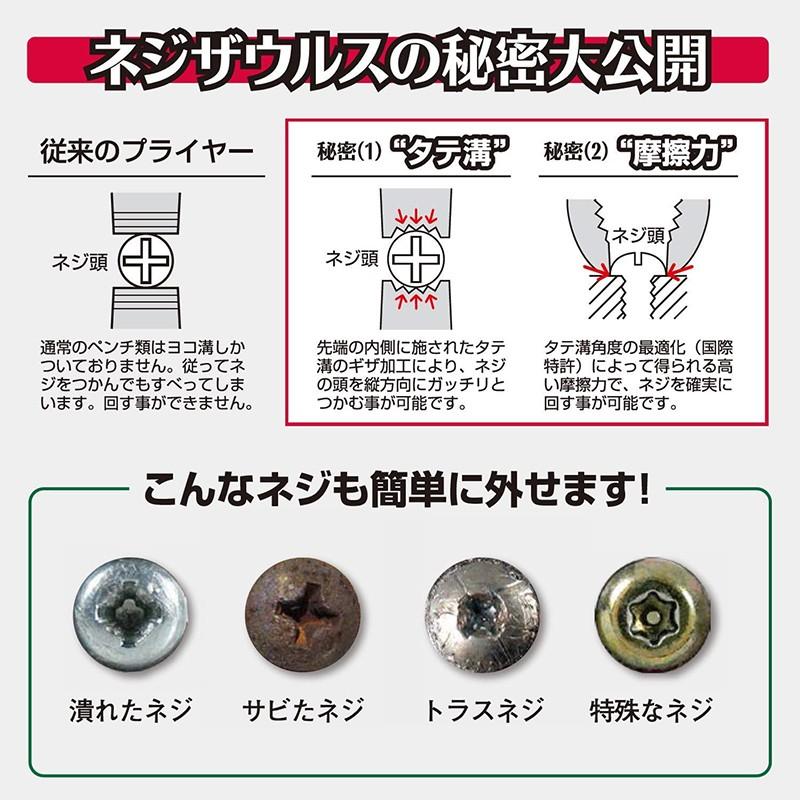 エンジニア ネジザウルスJS 黒染め仕様 メール便対応（2個まで） PZ-32L 4989833020132｜ejoy｜02