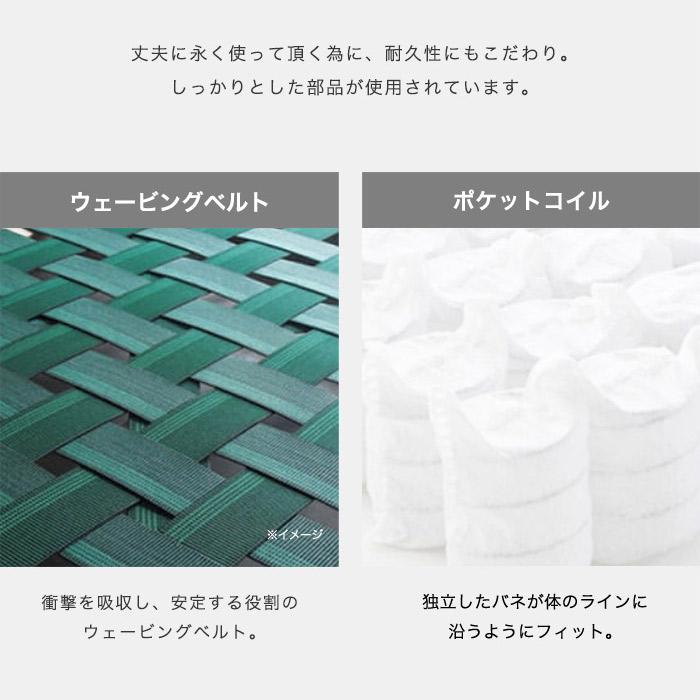 電動 リクライニングソファ 介護 立ち上がり 椅子 イス 1人掛け
