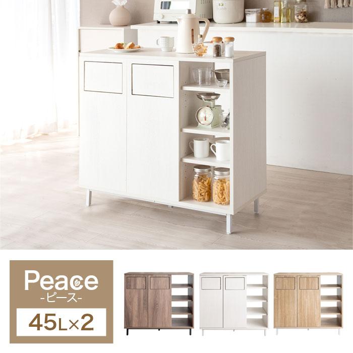 ゴミ箱 おしゃれ 45リットル 45l 分別 大容量 ごみ箱 キッチン