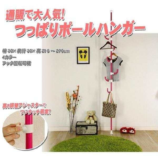 突っ張り棒 ポールハンガー ハンガーラック ハンガーポール 突っ張式 縦型 長い 天井 洋服掛け コートハンガー おしゃれ シンプル Fuji イーカグライフ 通販 Yahoo ショッピング