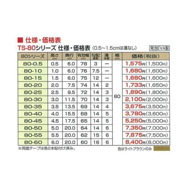 シンエイテクノ 段差解消スロープ タッチスロープ TS80-60(幅80cm×高さ
