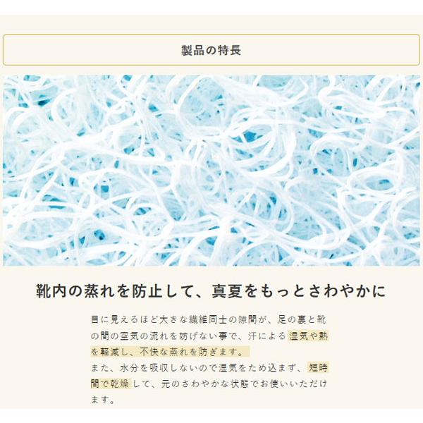介護靴 おしゃれ 室内 シューズ スリッパ リハビリ （代引き不可）ハッピーインソール 9186 ハッピーおがわ 介護用品 |  | 03