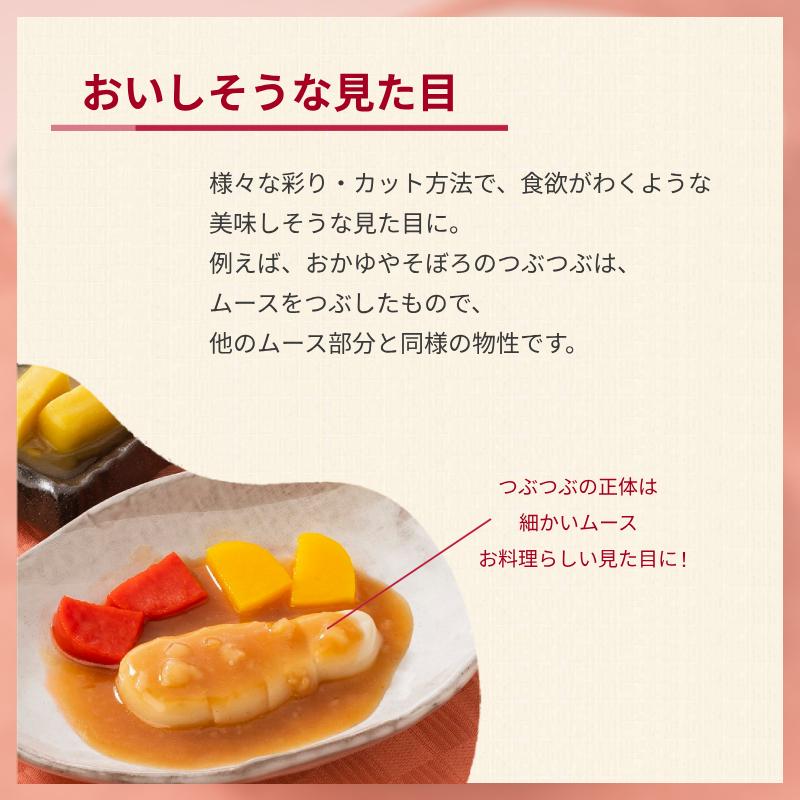 代引き不可）冷凍おかず SGセットプラス 8種類×1袋 日東ベスト 介護食