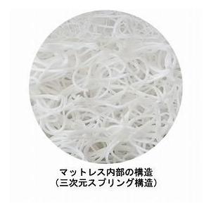 （代引き不可）パナソニック エイジフリーライフテック ラクマットエアー　スリム　レギュラー　／　ＶＡ１３６２１１(253952) 介護用品 