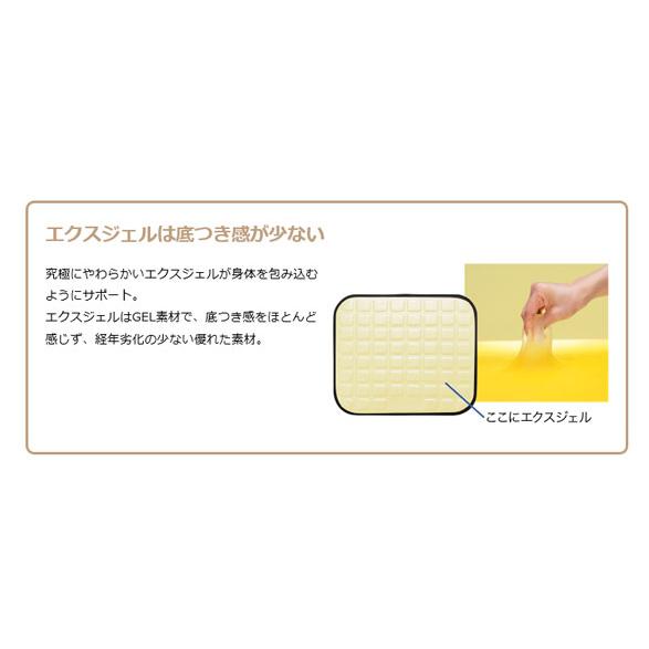 マットレス 床ずれ (施設様・法人様送り限定) （代引き不可）(受注生産) ベッド用減圧マット 大  CAK-11 加地 (褥瘡 床ずれ) 介護用品の画像