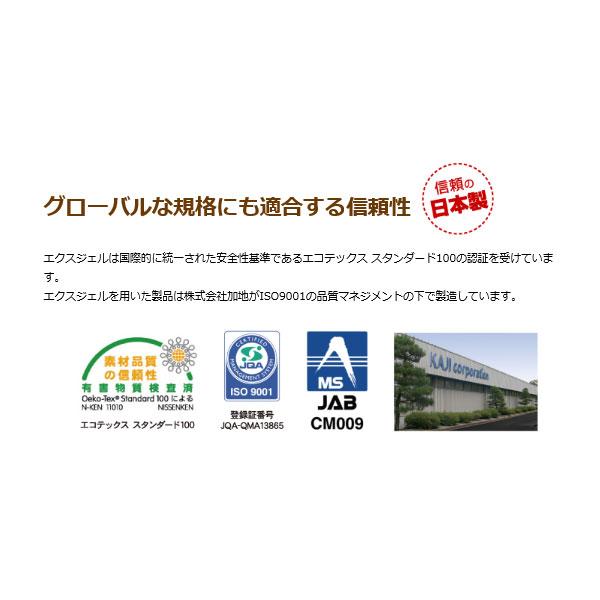 マットレス 床ずれ (施設様・法人様送り限定) （代引き不可）(受注生産) ベッド用減圧マット 大  CAK-11 加地 (褥瘡 床ずれ) 介護用品の画像