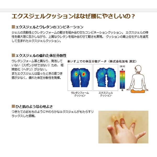 マットレス 床ずれ (施設様・法人様送り限定) （代引き不可）(受注生産) ベッド用減圧マット 大  CAK-11 加地 (褥瘡 床ずれ) 介護用品の画像