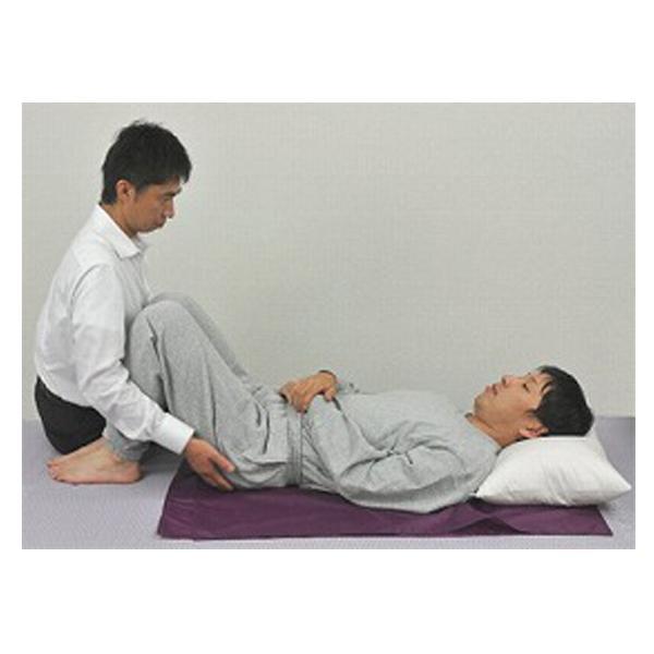 トランスファーシートS　000-35-004 ウェルファン (介護 スライディングシート 移乗シート) 介護用品 | ウェルファン | 01