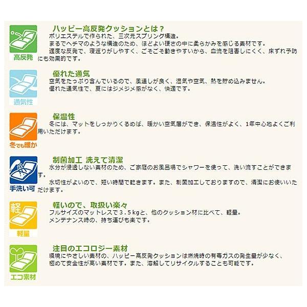 (代引き不可) 楽パット 三角 ハードタイプ ミニサイズ 9149 2個組 ハッピーおがわ 介護用品_3