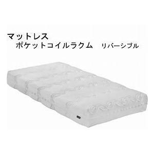 ★動作確認済み （代引き不可）グランツ 悠々ネックス１＋１モーター・マットレスセット　／　ラクムリバーシブル付(304190) 介護用品 【FK1848156115】(64946円)