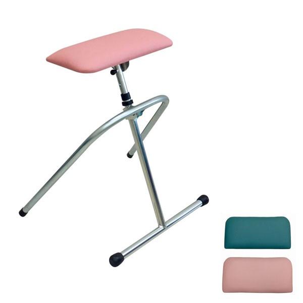 (代引き不可) 姿勢補助手すり 助さん SRB-P SRB-G イデアライフケア (介護 トイレ 手すり 立ち上がり 補助) 介護用品