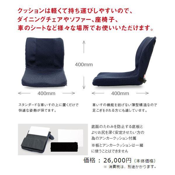 車椅子用クッション モールドシート PAS-MSW-002 ピーエーエス (車椅子