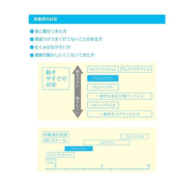 マットレス 床ずれ (代引き不可) アルファプラL 通気カバータイプ MB-LA0R 100cm幅レギュラー タイカ |  | 01