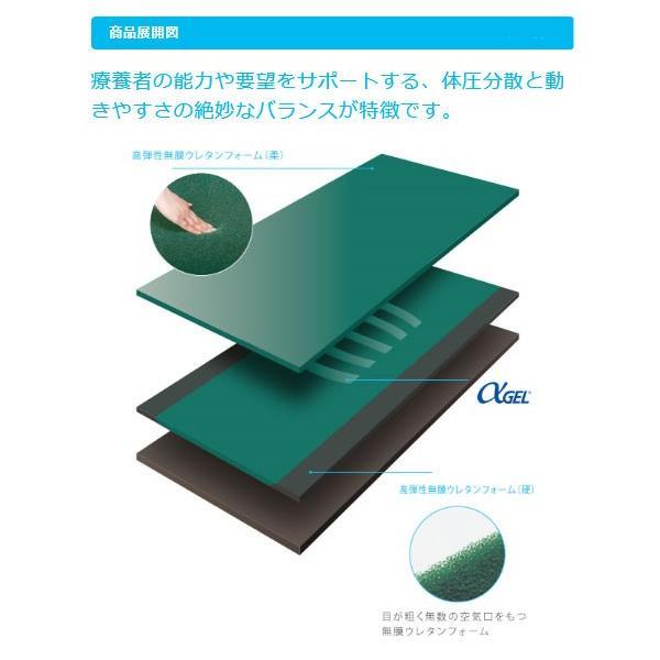 マットレス 床ずれ (代引き不可) アルファプラL 通気カバータイプ MB-LA0R 100cm幅レギュラー タイカ |  | 03