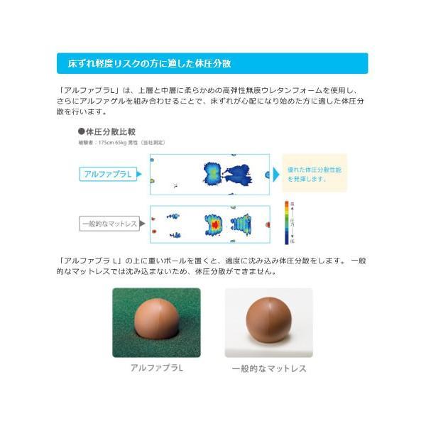 マットレス 床ずれ (代引き不可) アルファプラL 通気カバータイプ MB-LA0R 100cm幅レギュラー タイカ |  | 04