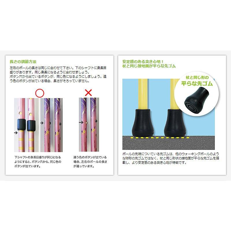 代引き不可 そふと安心2本杖 シナノ ウォーキングポール 高齢者 リハビリ 介護予防 介護用品 3642 Eかいごナビ 通販 Yahoo ショッピング