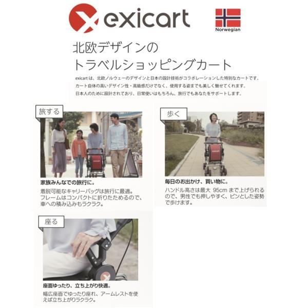 シルバーカー おしゃれ 代引き不可 exicart（エキシカート）ミクニ 