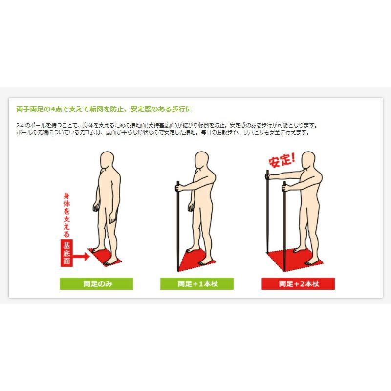 あんしん2本杖 2本1組 65019 シナノ (ウォーキングポール 介護予防 ウォーキング) 介護用品 敬老の日 2023 70代 80代 |  | 05